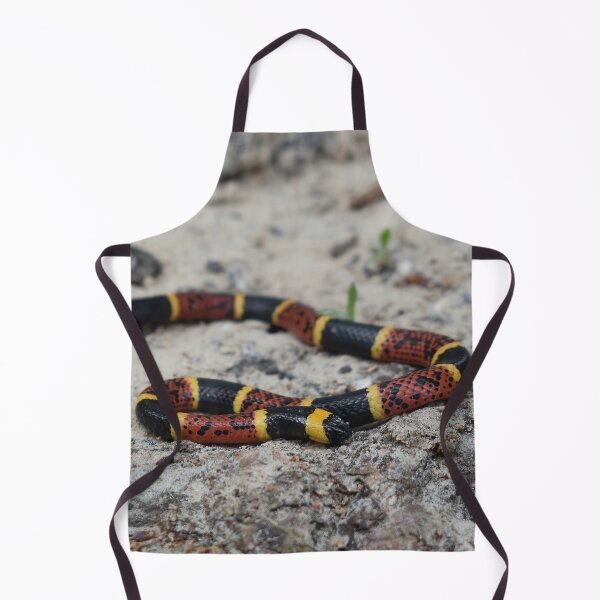 Item preview, Texas Coral Snake Print designed and sold by Paul-Prints.