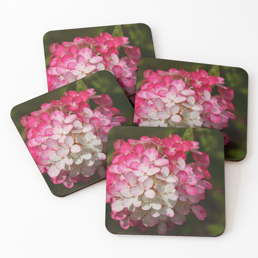 Item preview, Coasters (Set of 4) designed and sold by RabbitHole13.
