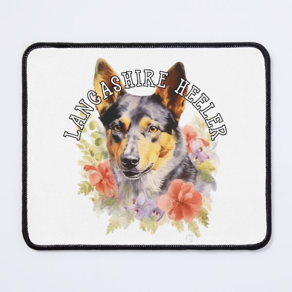 Item preview, lancashire heeler designed and sold by Tee Studio.