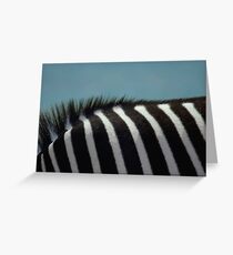 Deborah the Zebra Greeting Card