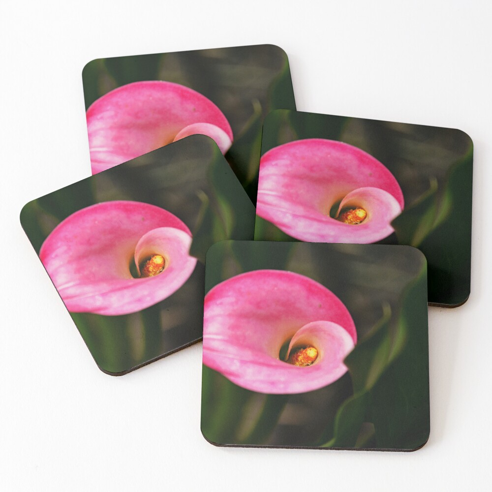 Item preview, Coasters (Set of 4) designed and sold by RabbitHole13.