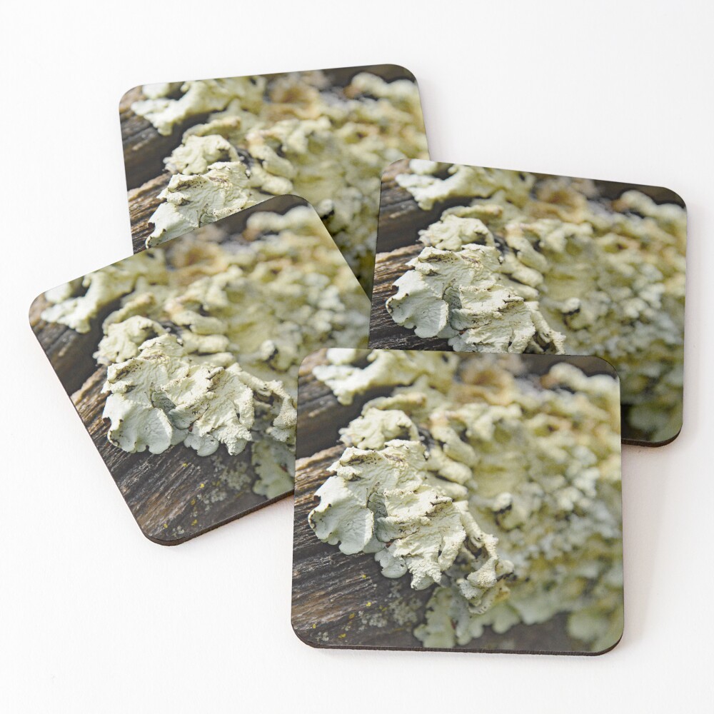 Item preview, Coasters (Set of 4) designed and sold by RabbitHole13.