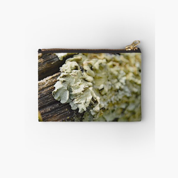 Item preview, Martindale Park designed and sold by RabbitHole13.