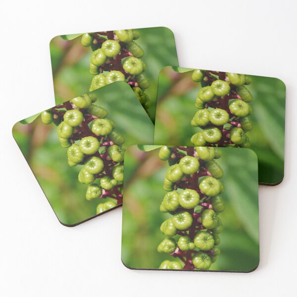 Item preview, Martindale Park designed and sold by RabbitHole13.