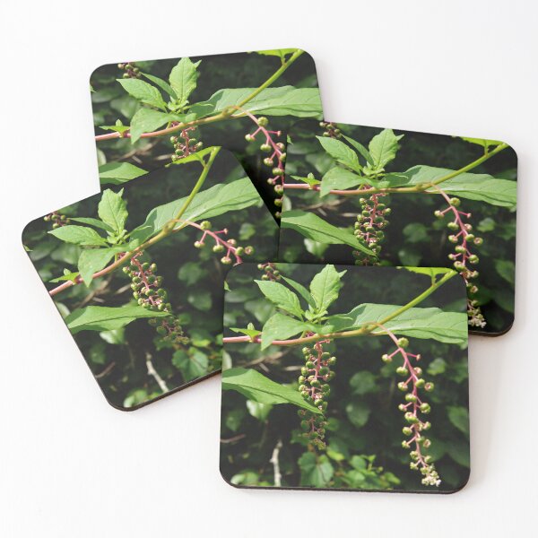 Item preview, Martindale Park designed and sold by RabbitHole13.