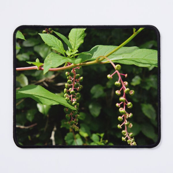 Item preview, Martindale Park designed and sold by RabbitHole13.