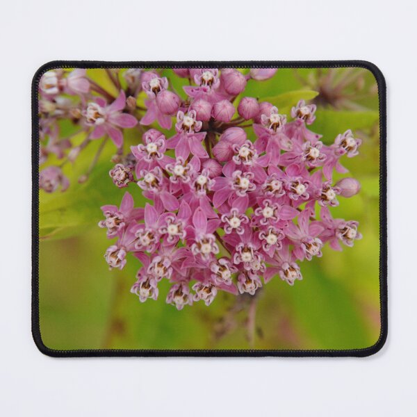 Item preview, Martindale Park designed and sold by RabbitHole13.