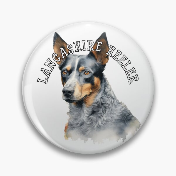 Item preview, lancashire heeler designed and sold by Tee Studio.