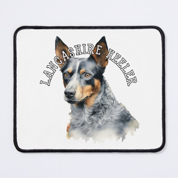 Item preview, lancashire heeler designed and sold by Tee Studio.
