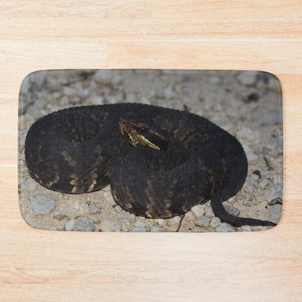 Item preview, Northern Cottonmouth Print designed and sold by Paul-Prints.