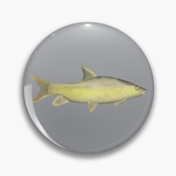 Item preview, Niger Barb designed and sold by fishfolkart.
