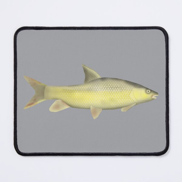 Item preview, Niger Barb designed and sold by fishfolkart.