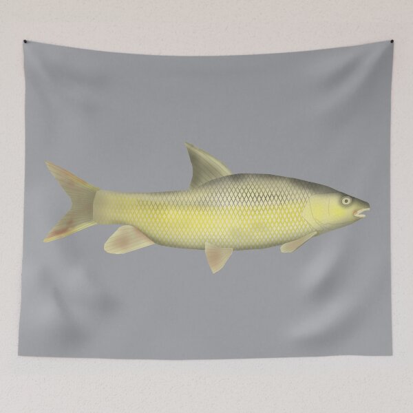 Item preview, Niger Barb designed and sold by fishfolkart.