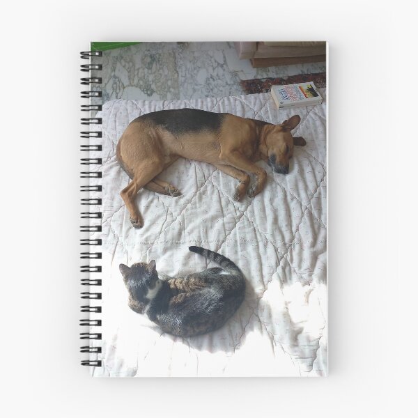 Item preview, cane e gatto amici nel simbolo zen designed and sold by Pisola.