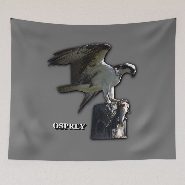 Item preview, Osprey designed and sold by Paul-Prints.