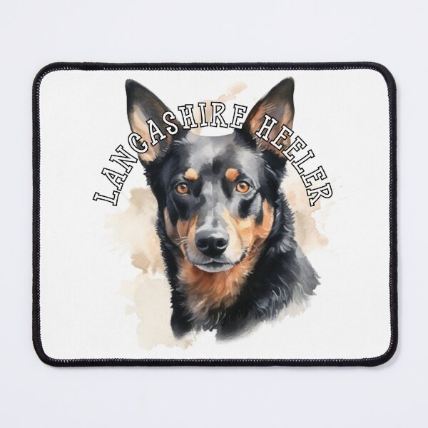Item preview, lancashire heeler designed and sold by Tee Studio.