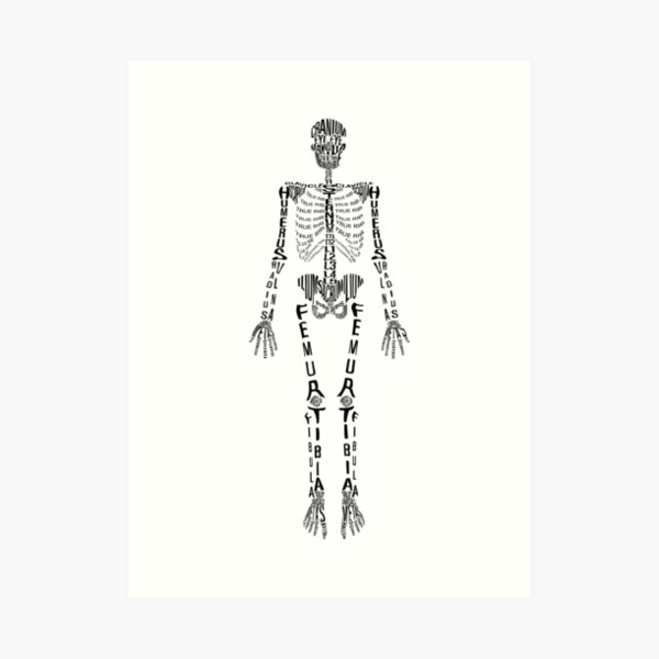Typographical Skeleton Art Print
