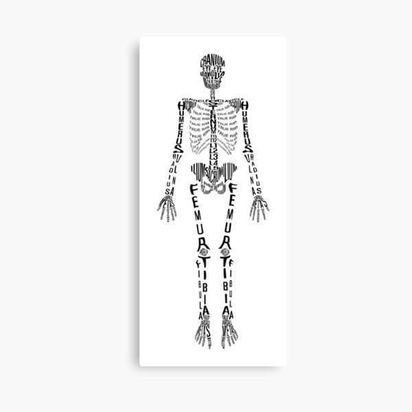 Typographical Skeleton Canvas Print
