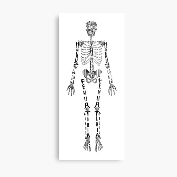 Typographical Skeleton Metal Print