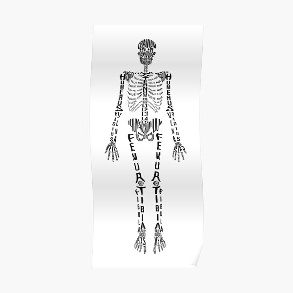 Typographical Skeleton Poster