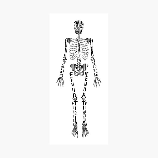 Item preview, Typographical Skeleton designed and sold by Natasha Mansfield.