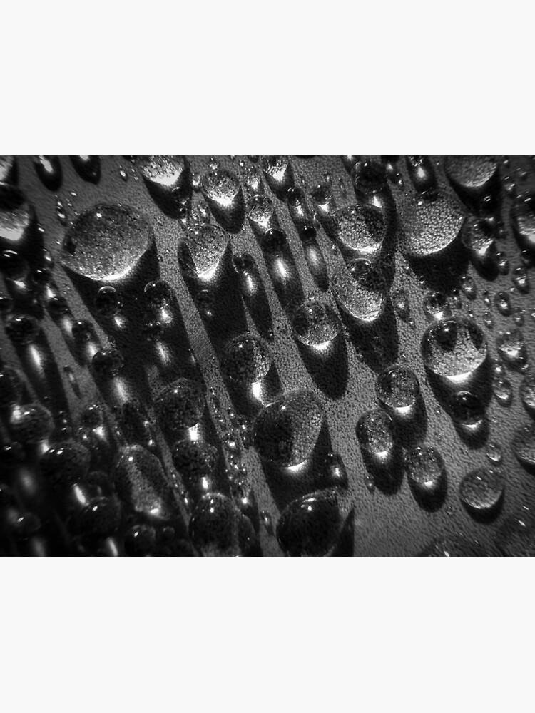 Agave Morning Teardrops von Enagel