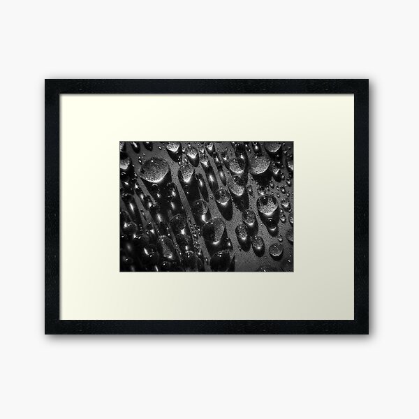 Agave Morning Teardrops Gerahmter Kunstdruck