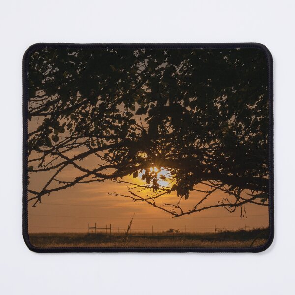 Item preview, Sunset through the Tree designed and sold by okieshotsprints.