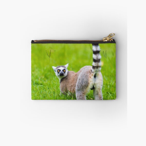 Item preview, Ring-tailed Lemur designed and sold by Stanciuc.
