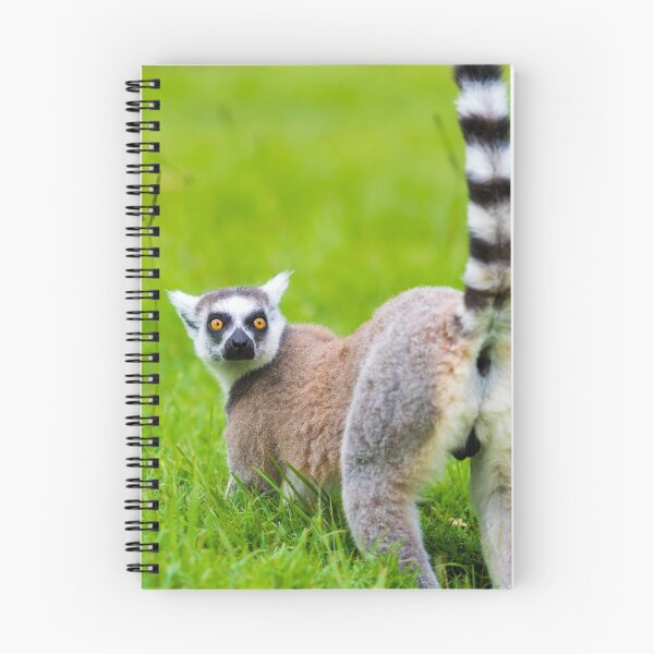 Item preview, Ring-tailed Lemur designed and sold by Stanciuc.