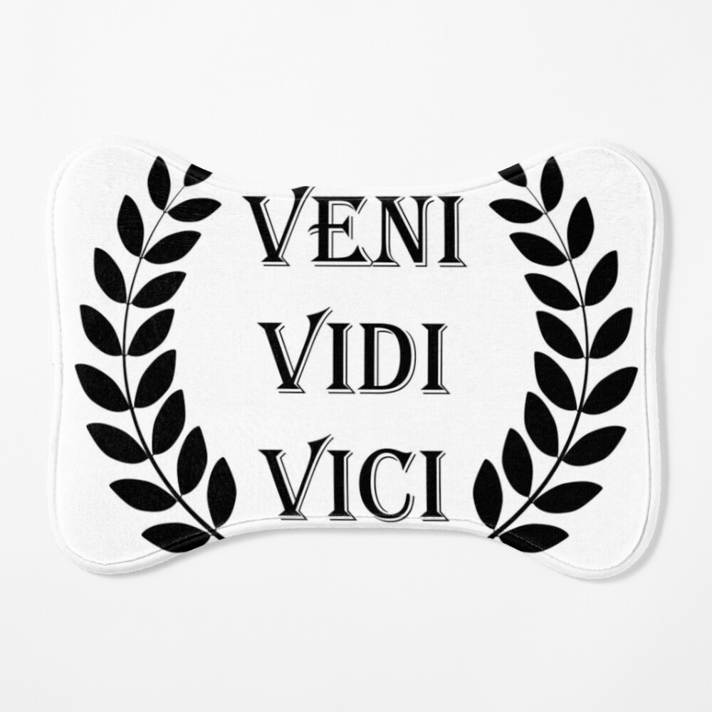 Veni Vidi Vici Art Board Print for Sale by ojasha