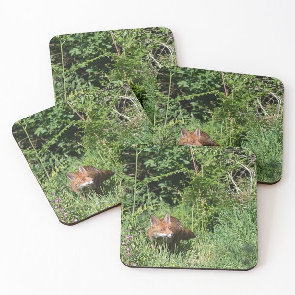 Item preview, The Inquisitive Fox designed and sold by jobrownphotog.