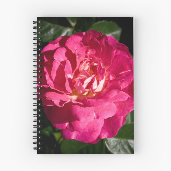 Item preview, Pinker than pink. Rosegarden series designed and sold by Jouko Lehto Photography.