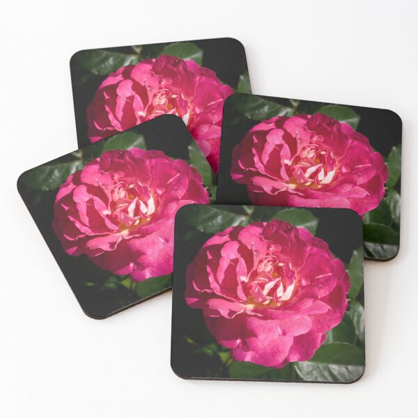 Item preview, Pinker than pink. Rosegarden series designed and sold by Jouko Lehto Photography.
