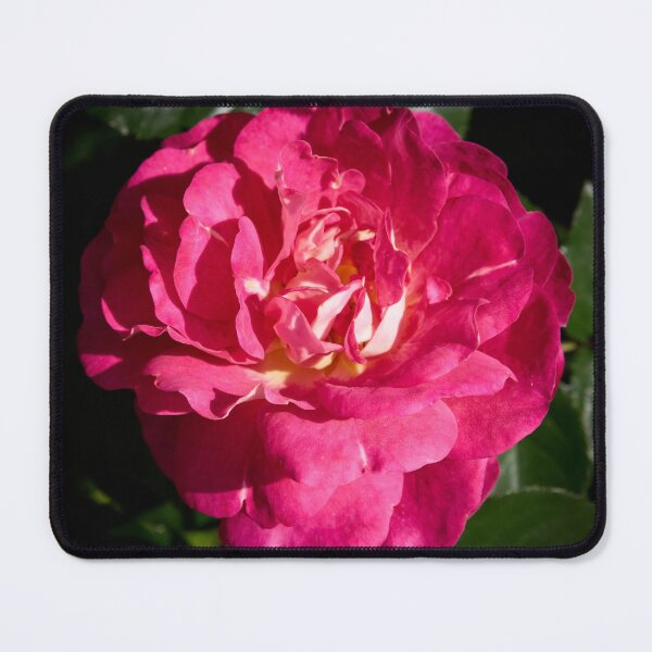 Item preview, Pinker than pink. Rosegarden series designed and sold by Jouko Lehto Photography.