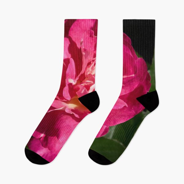 Item preview, Pinker than pink. Rosegarden series designed and sold by Jouko Lehto Photography.