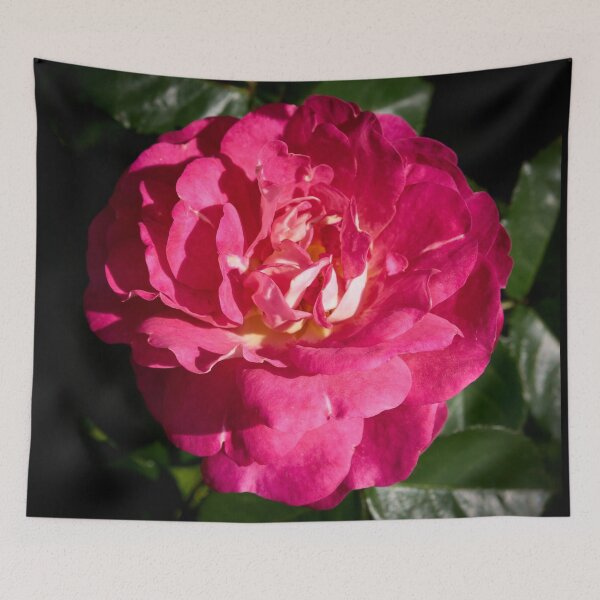 Item preview, Pinker than pink. Rosegarden series designed and sold by Jouko Lehto Photography.