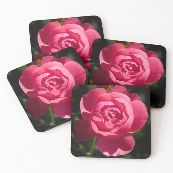 Item preview, Ready to open up. Rosegarden series designed and sold by Jouko Lehto Photography.