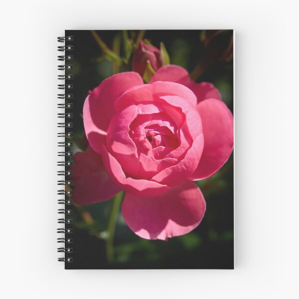 Item preview, Ready to open up. Rosegarden series designed and sold by Jouko Lehto Photography.