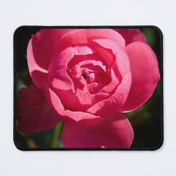 Item preview, Ready to open up. Rosegarden series designed and sold by Jouko Lehto Photography.
