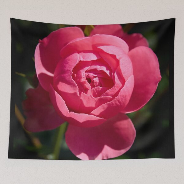 Item preview, Ready to open up. Rosegarden series designed and sold by Jouko Lehto Photography.