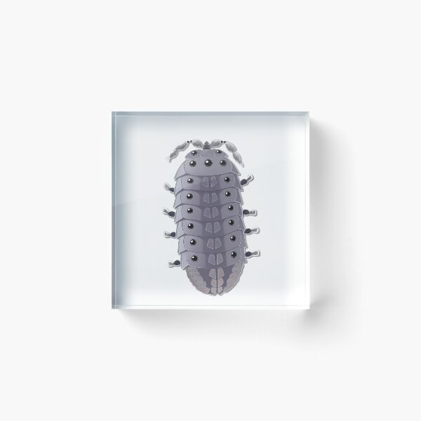 Item preview, Isopod Serenade in the Dairy designed and sold by ArchieDid.