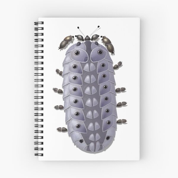 Item preview, Curious Cow's Isopod Adventure designed and sold by ArchieDid.