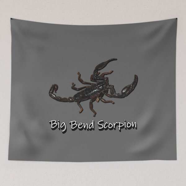 Item preview, Big Bend Scorpion designed and sold by Paul-Prints.