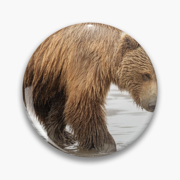 Item preview, Brown Bear Digging for Clams Alaska designed and sold by PhotoArt by Joan Carroll.