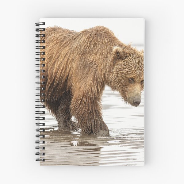Item preview, Brown Bear Digging for Clams Alaska designed and sold by PhotoArt by Joan Carroll.
