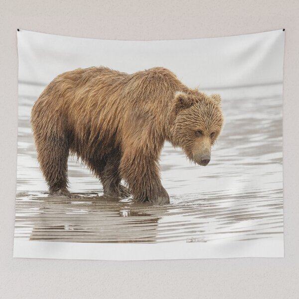 Item preview, Brown Bear Digging for Clams Alaska designed and sold by PhotoArt by Joan Carroll.