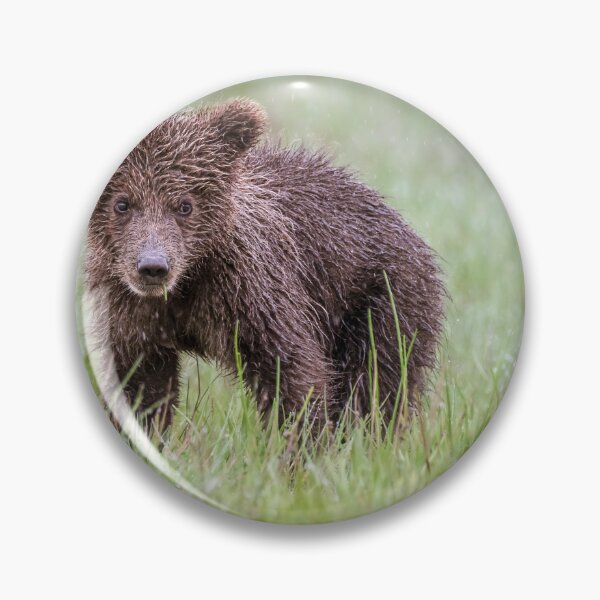 Item preview, Bear Cub Lake Clark National Park Alaska designed and sold by PhotoArt by Joan Carroll.