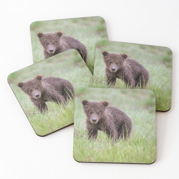 Item preview, Bear Cub Lake Clark National Park Alaska designed and sold by PhotoArt by Joan Carroll.