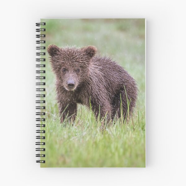 Item preview, Bear Cub Lake Clark National Park Alaska designed and sold by PhotoArt by Joan Carroll.
